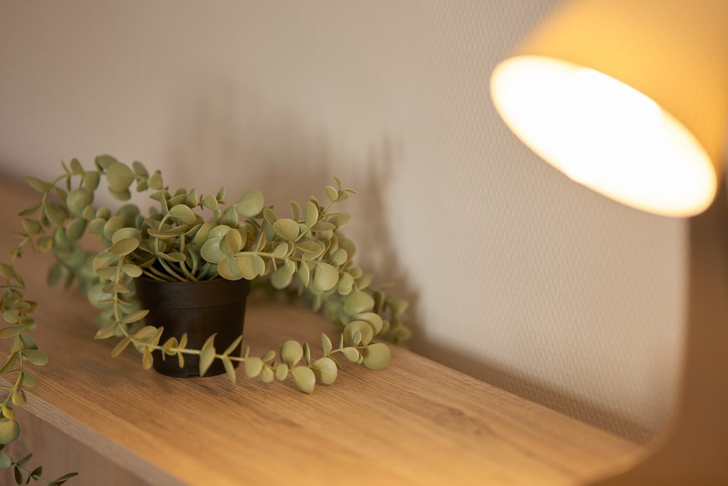 Détail de décoration florale dans logement géré par AB Bienvenue